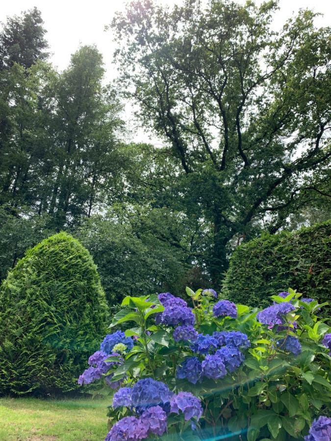 오털로 Zonnebos, Private Garden, Fresh Air, Relax! 빌라 외부 사진